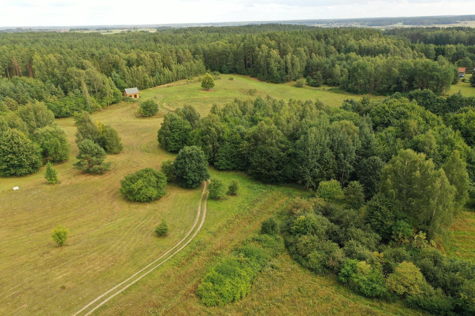 Villa Olejarnia Godki Jonkowo Esterno foto