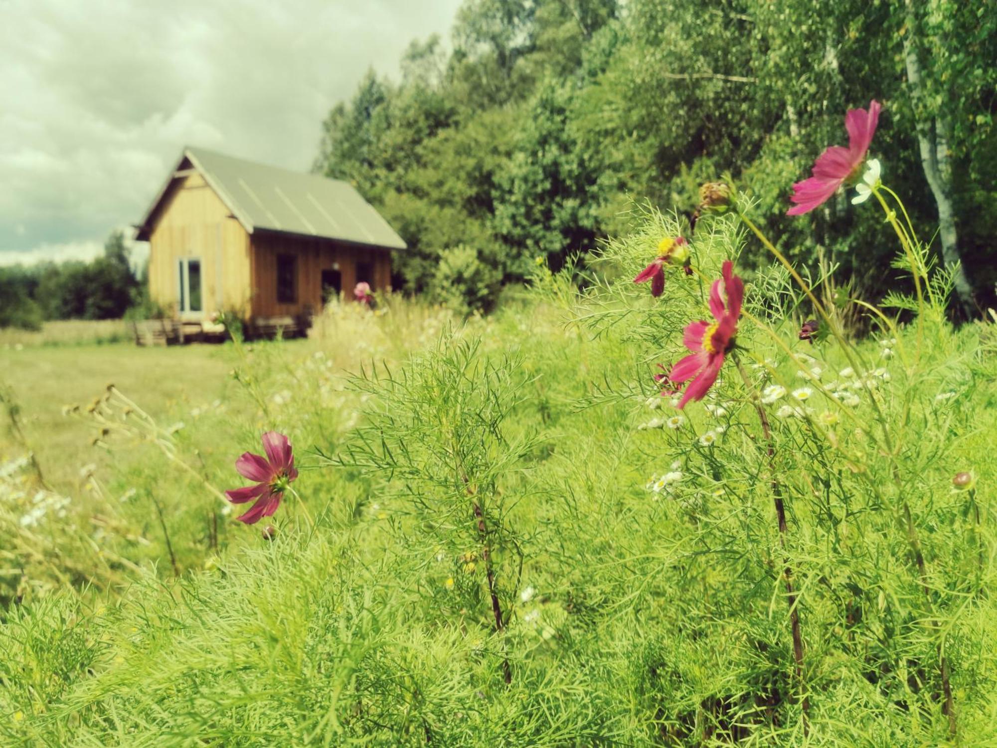 Villa Olejarnia Godki Jonkowo Esterno foto
